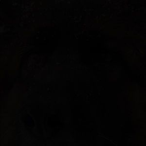 Meet your Posher, Ella